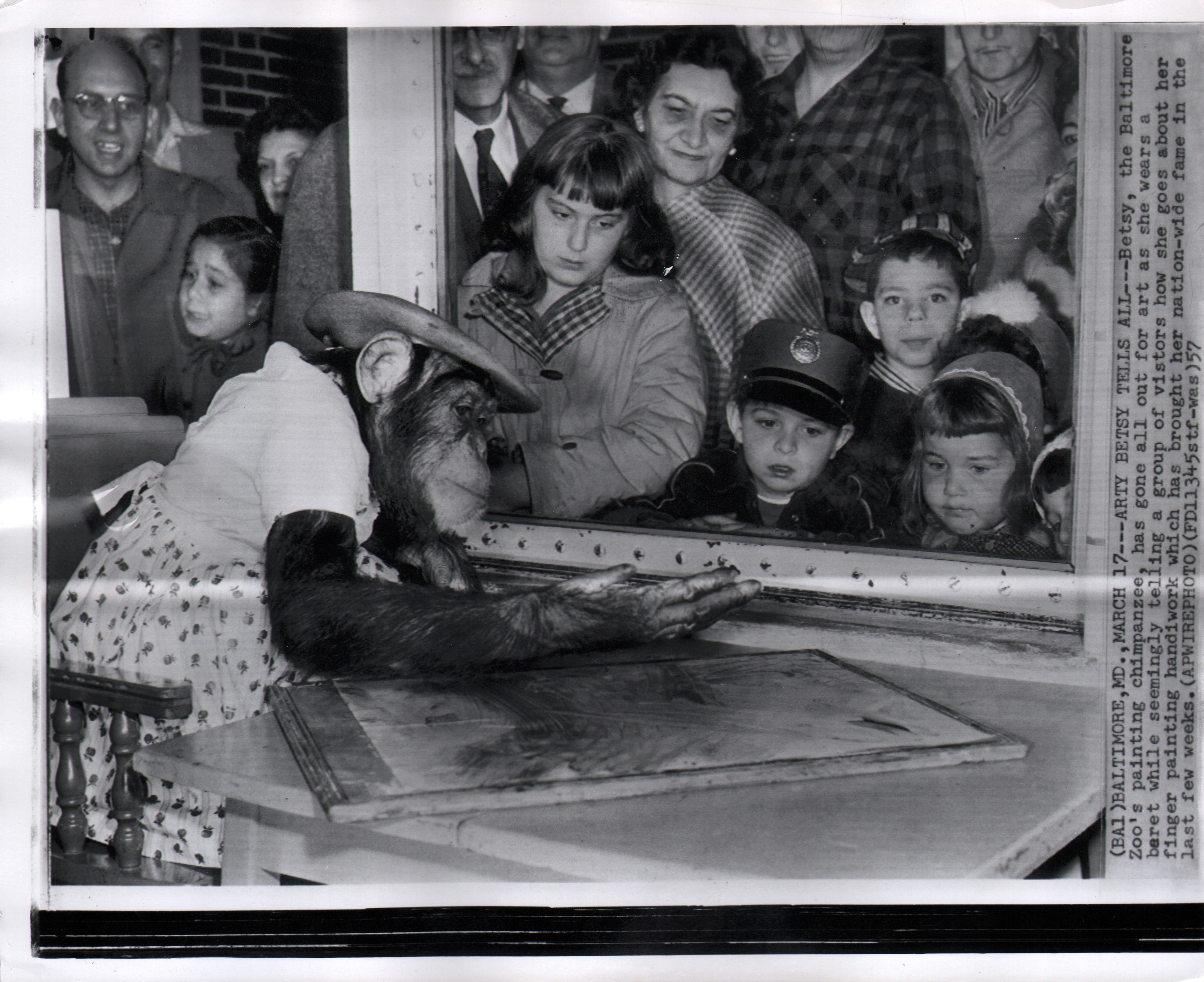 Chimpanzee artists - Arty Betsy Tells All, 1957