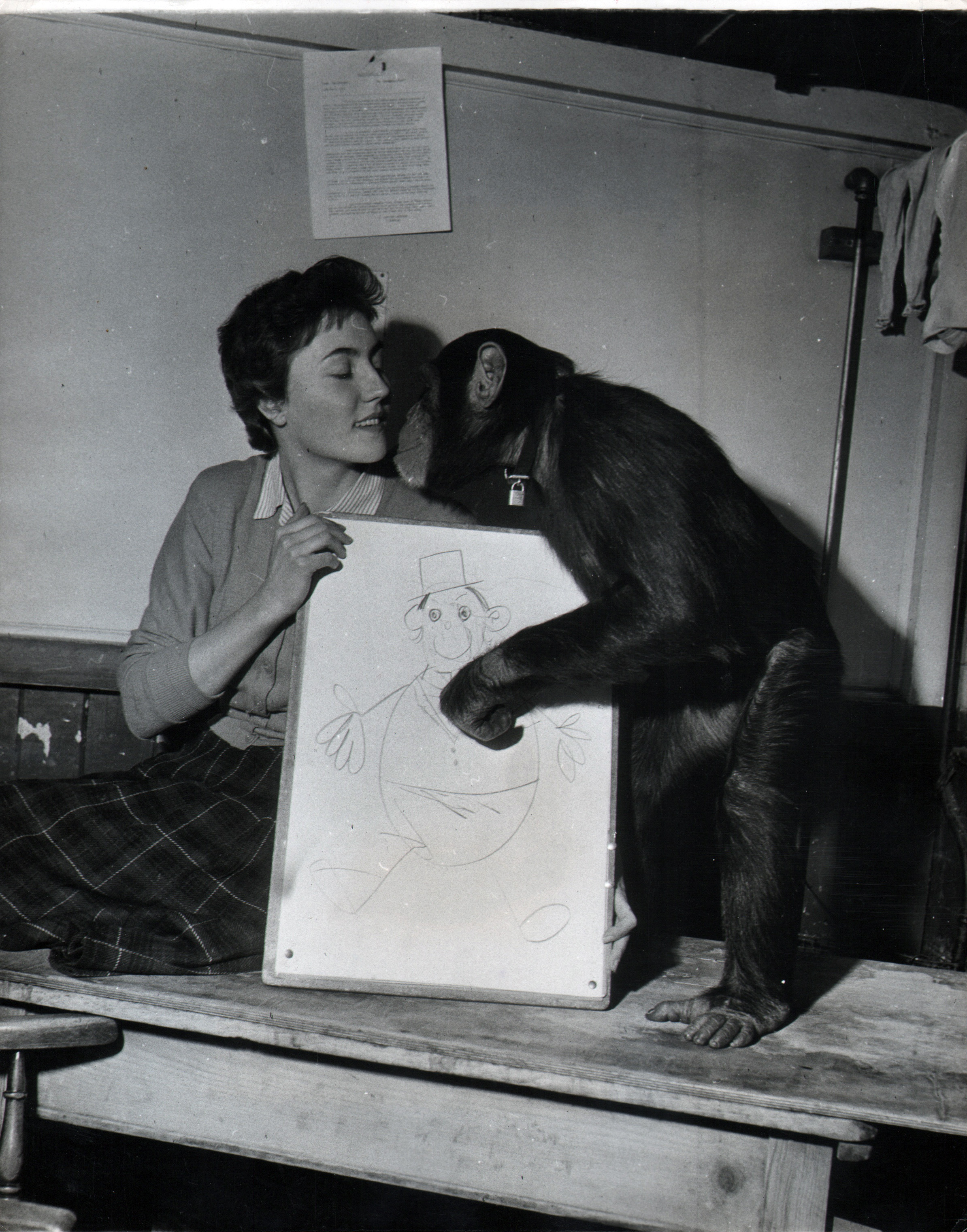 Chimpanzee artists - Sally the Chimp Turns Artist / Who Draws Who at the Zoo : Sally Takes to Art, 1960