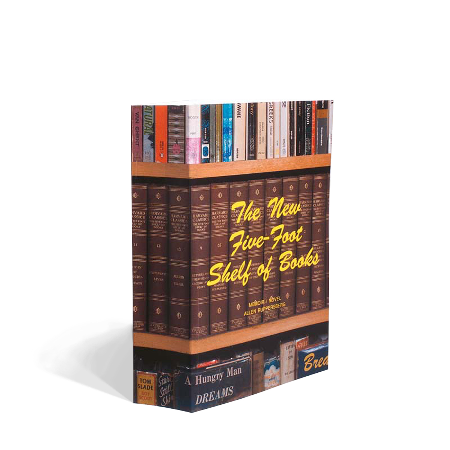 Allen Ruppersberg - The New Five Foot Shelf of Books, 2003