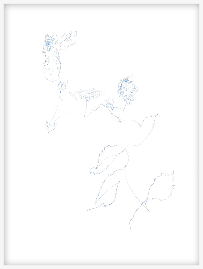 Cari Gonzalez-Casanova - 