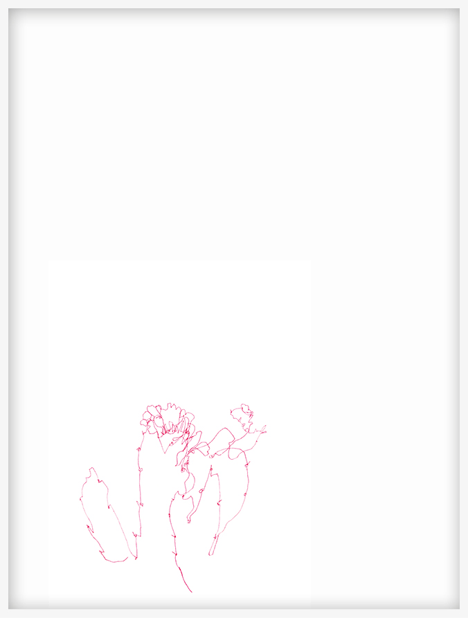 Cari Gonzalez-Casanova - 