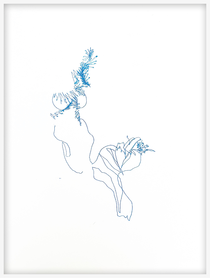 Cari Gonzalez-Casanova - Porpita porpita, 9 mn 26 s, 2025