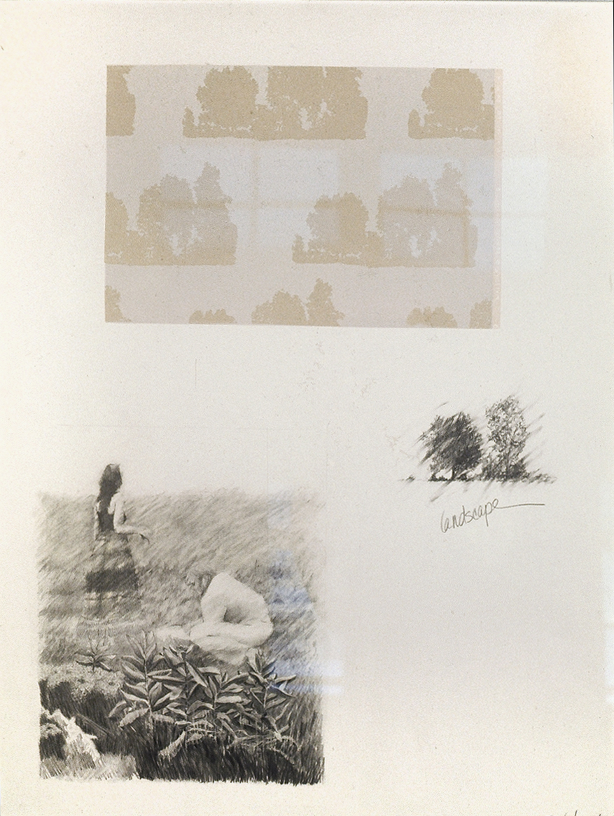 Suzy Lake - Re-Placed Landscape, 1973