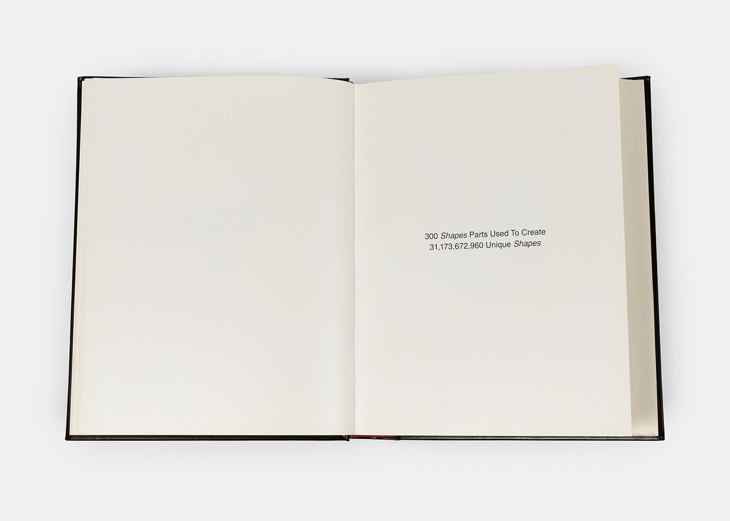 The Book of Shapes, 2010 - Vue suppl&eacute;mentaire