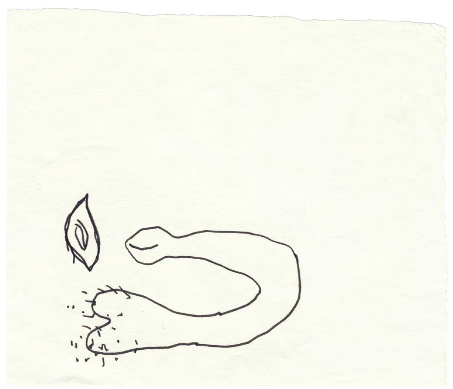 Mes dessins secrets, 1972/2011 - Vue suppl&eacute;mentaire