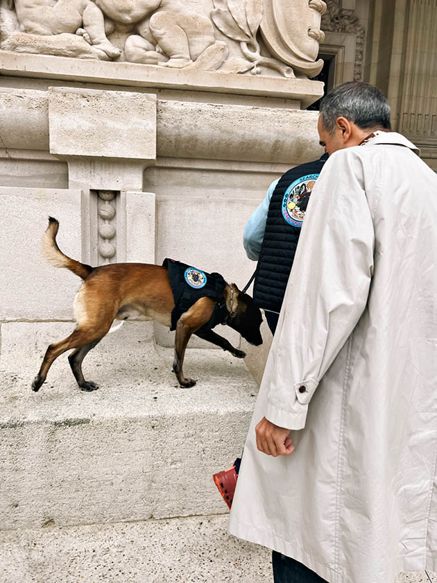 Brognon Rollin - Tell the Dogs [Art Basel Paris / 1], 2024