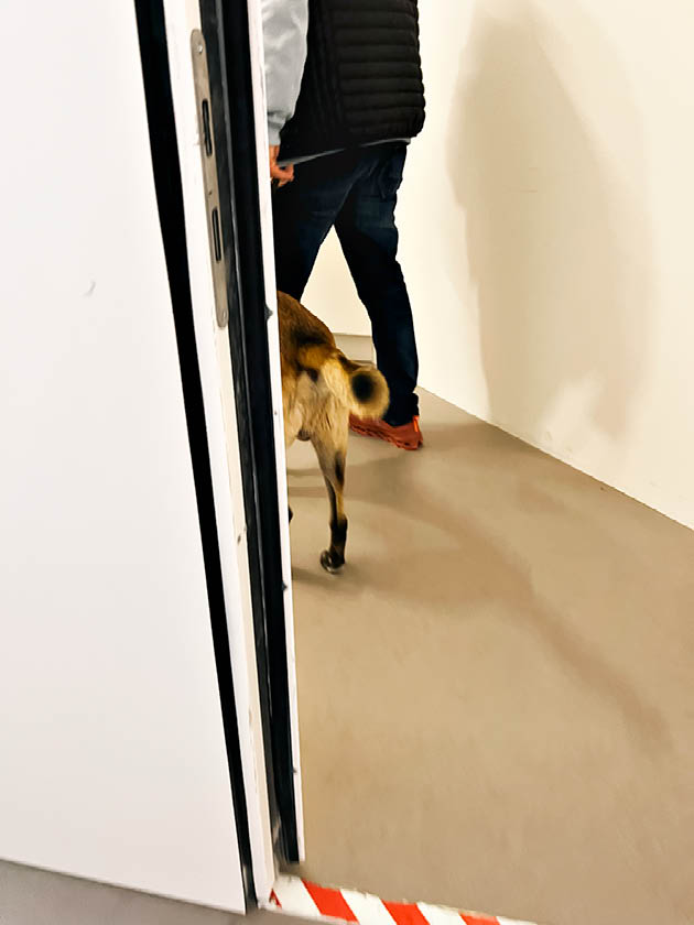 Tell the Dogs [Art Basel Paris / 1], 2024 - Vue suppl&eacute;mentaire