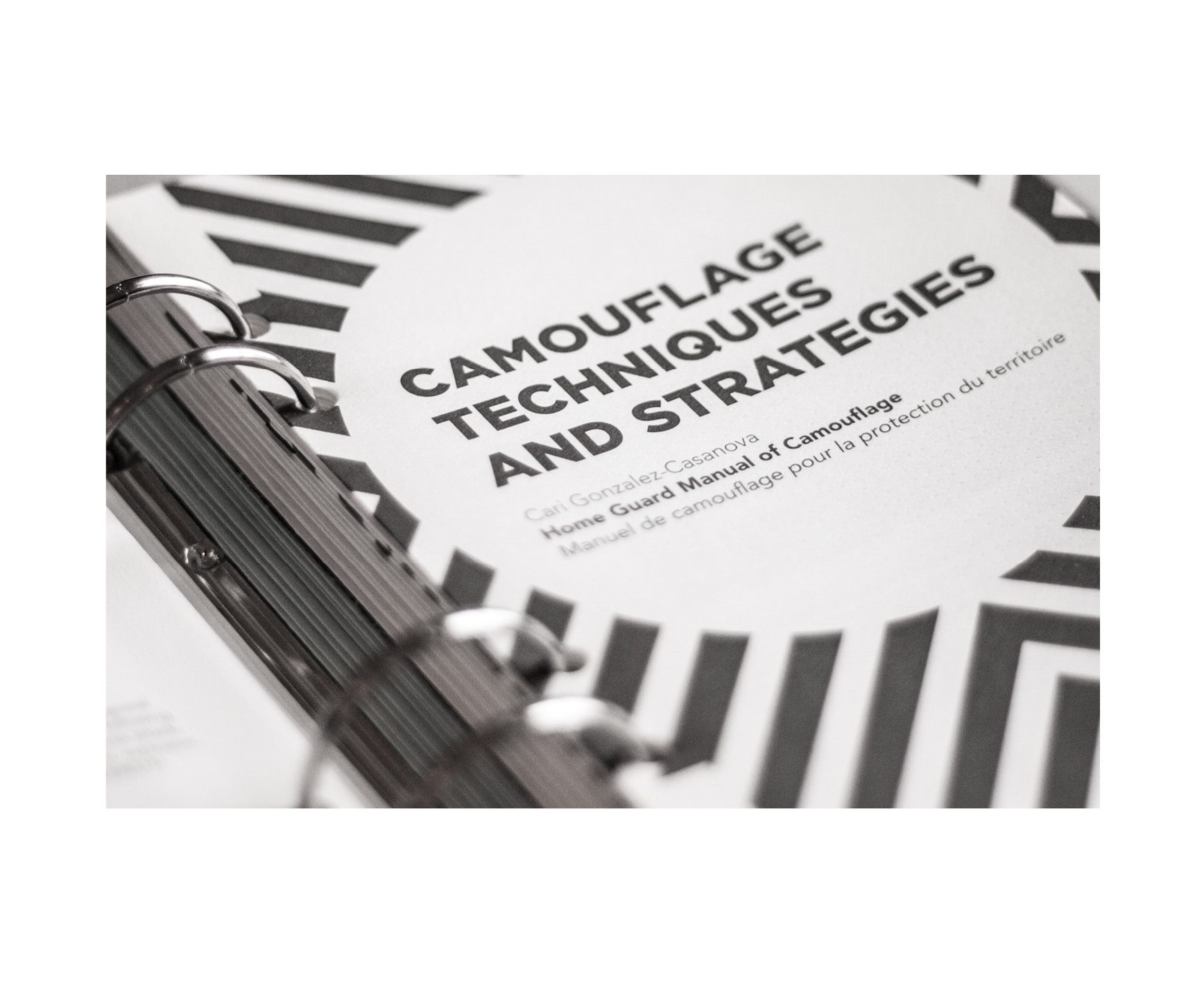 Home Guard Manual of Camouflage / Manuel de camouflage pour la protection du territoire, 2016 - Additional view