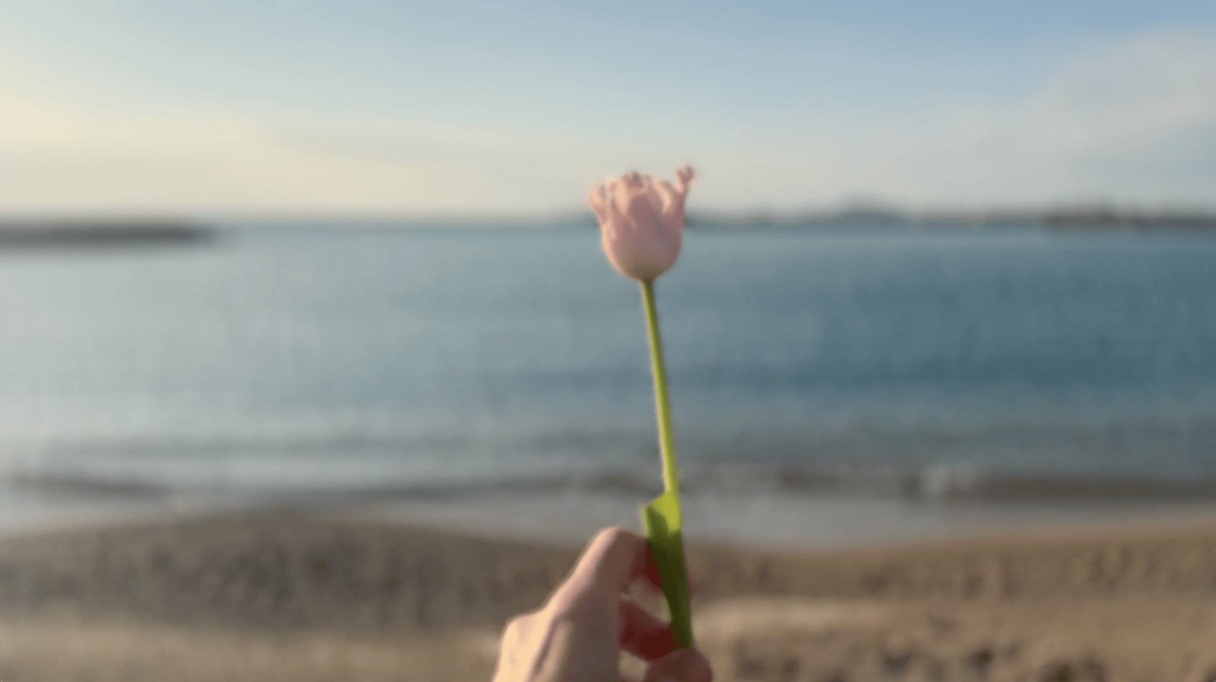 Cari Gonzalez-Casanova - Lemanja, 2025