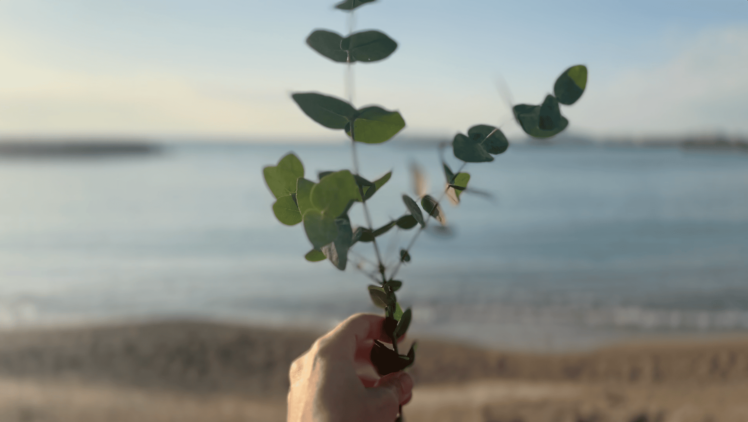 Cari Gonzalez-Casanova - Lemanja, 2025