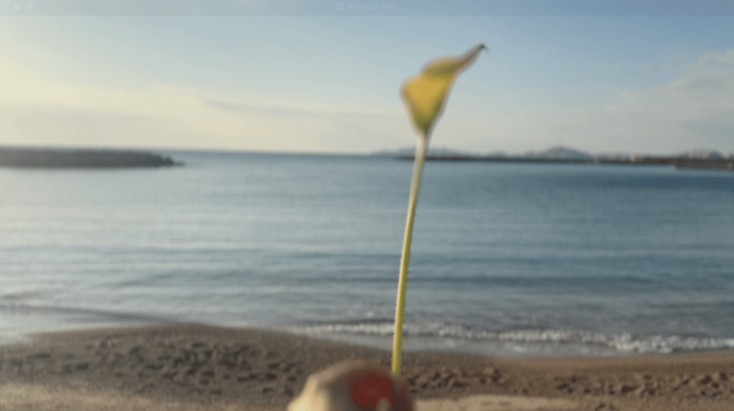 Cari Gonzalez-Casanova - Lemanja, 2025