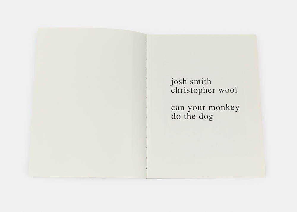 can your monkey do the dog, 2007 - Vue suppl&eacute;mentaire