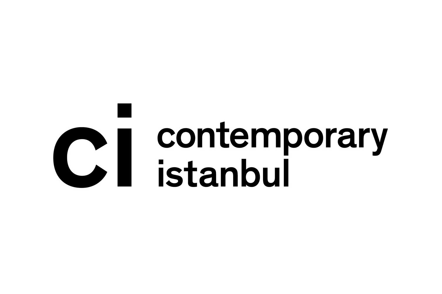 Contemporary Istanbul 