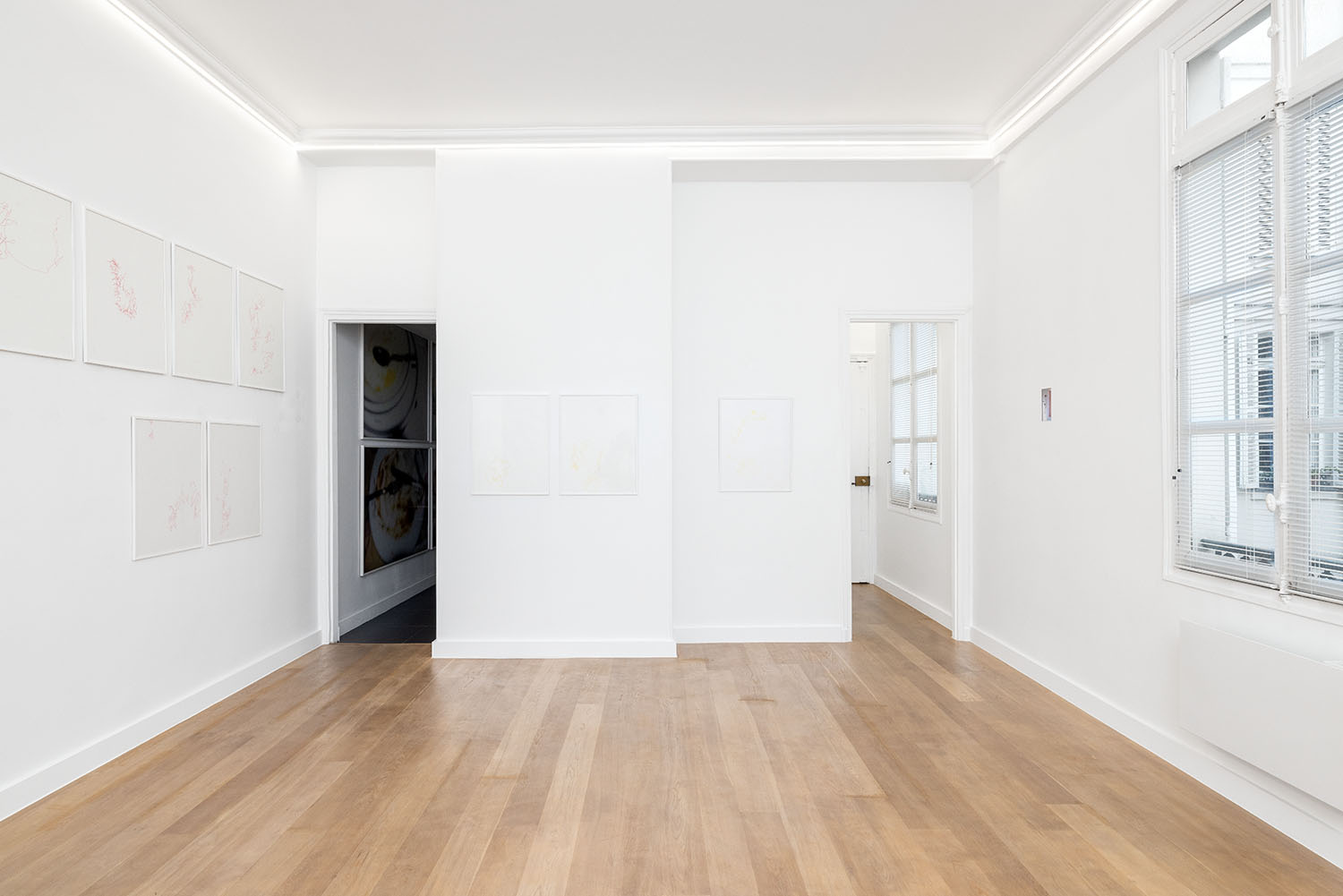 Isles of Dalia - Cari Gonzalez-Casanova