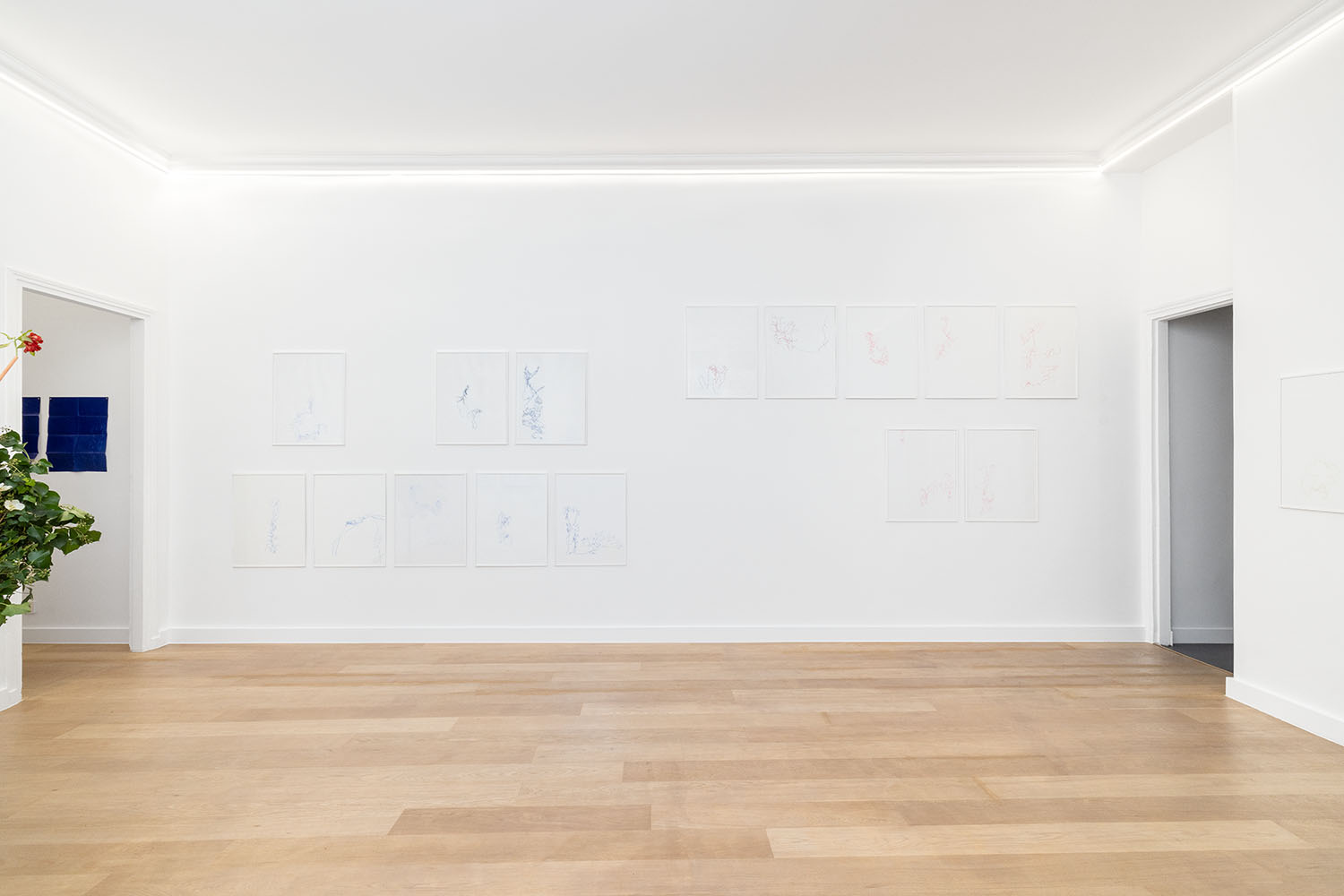 Isles of Dalia - Cari Gonzalez-Casanova